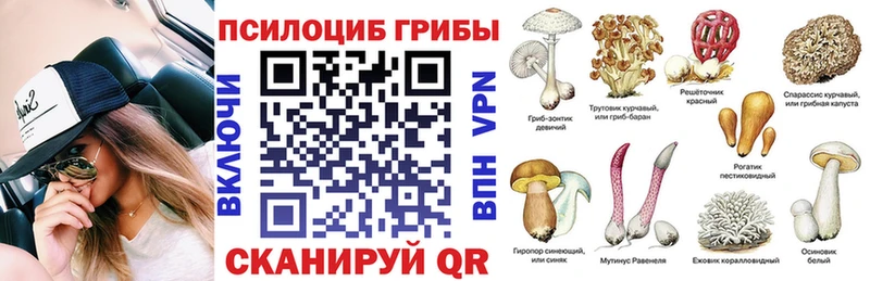 дарнет шоп  Киров  Псилоцибиновые грибы Magic Shrooms 